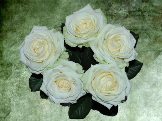 429370 (a): :1600x1200